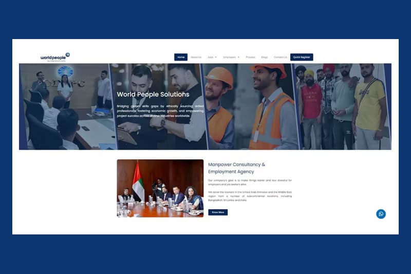 250% Revenue Growth for Online Retailer